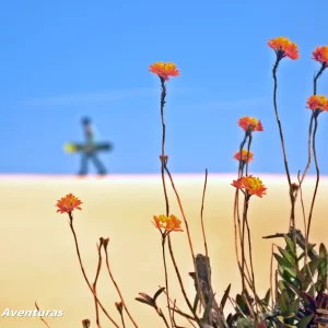 eriene-em-floripa-com-adrenailha-16