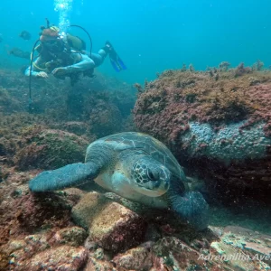 mergulho-batismo-com-adrenailha-1 (1)