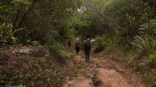 o-dos-macacos-adrenailha-14-anos-20