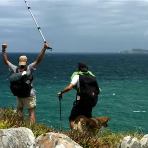 2473171425_ab329dfd58_o-1