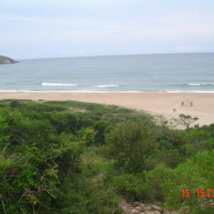 3749694994_c9669681c8_c